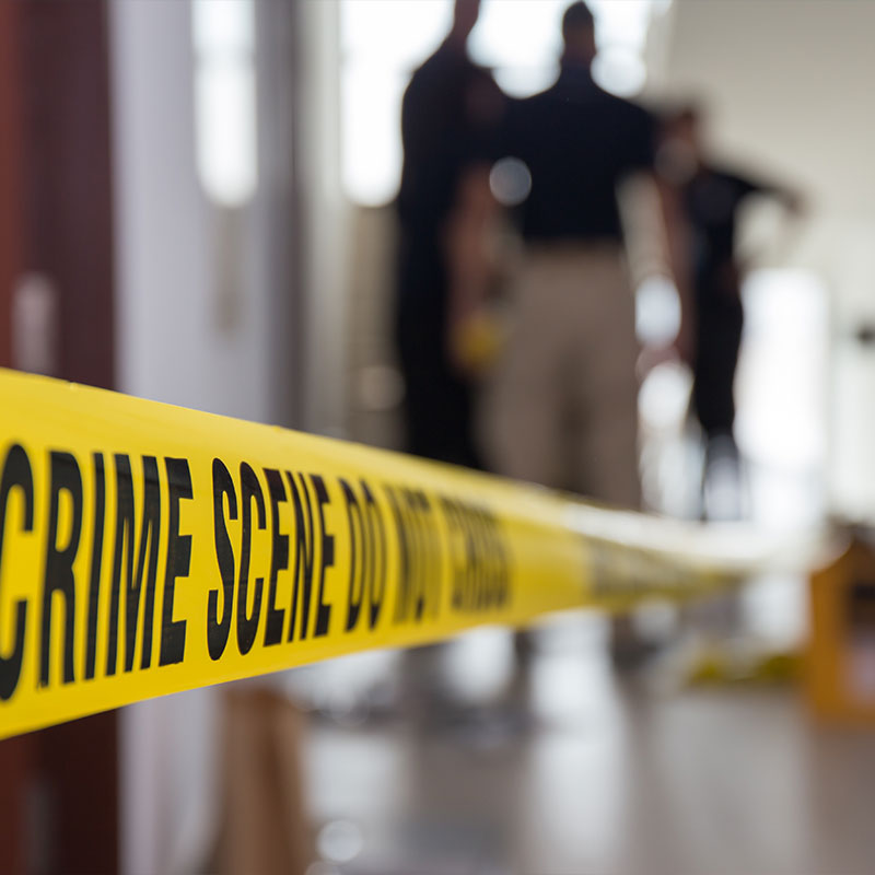 criminal investigations